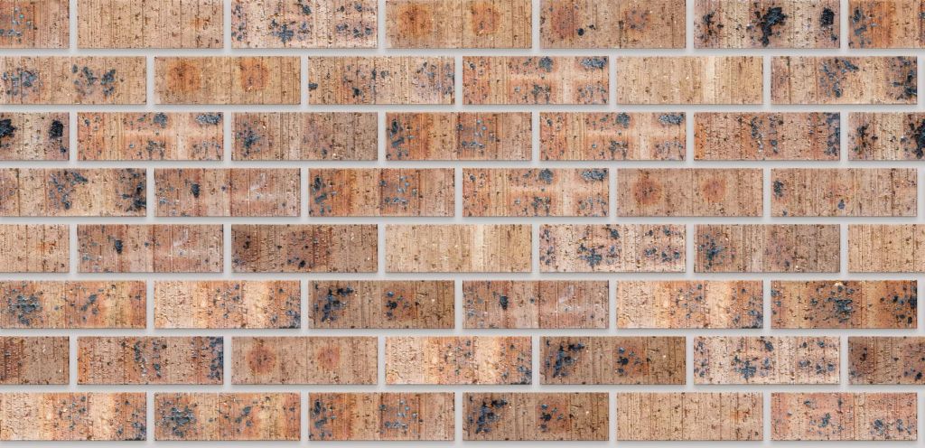 Kiaat Travertine FBS