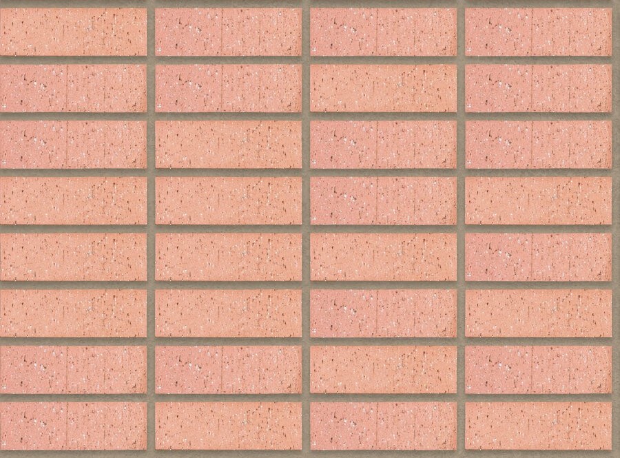 Protea Travertine FBS