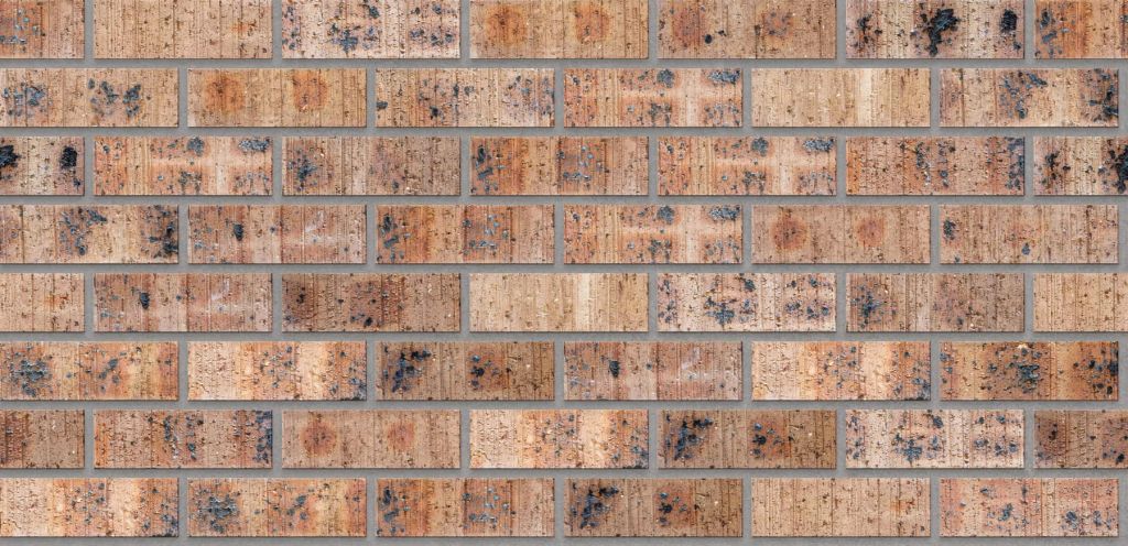 Kiaat Travertine FBS