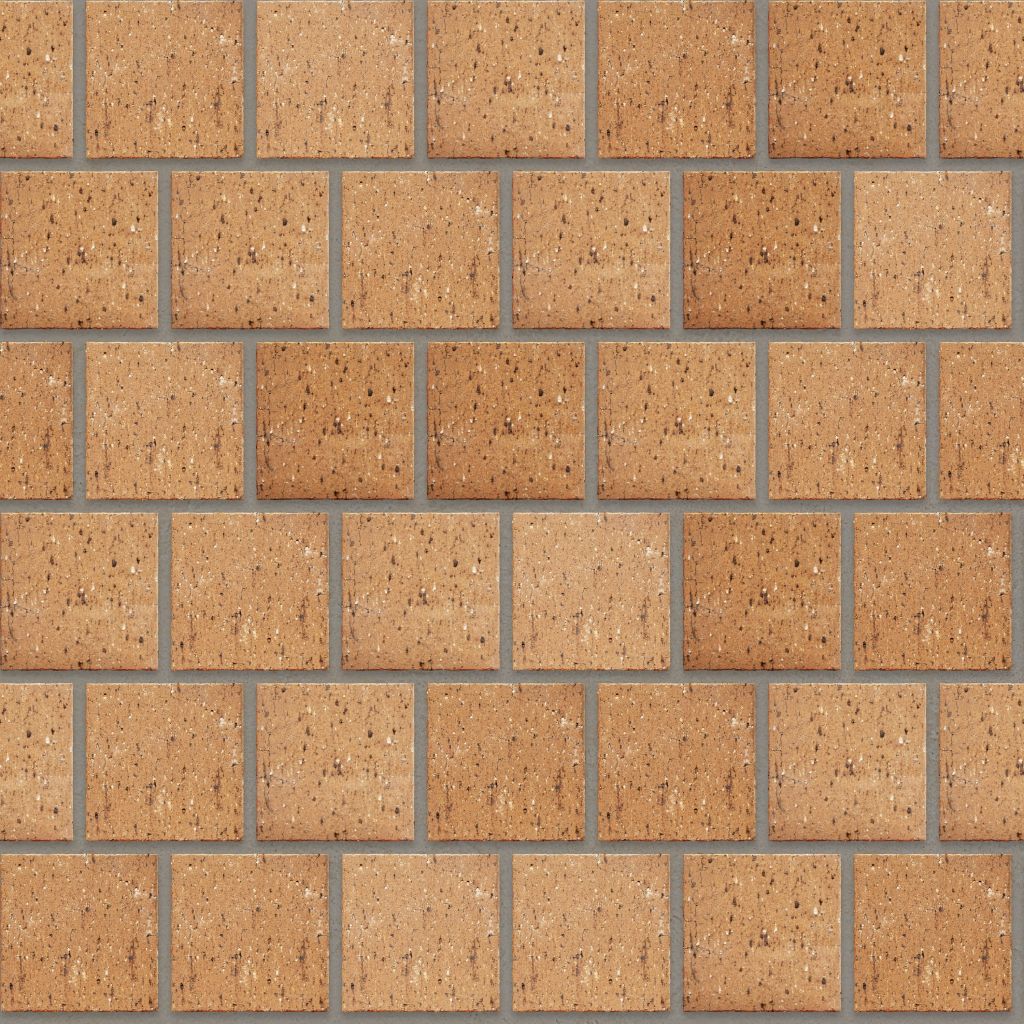 Cederberg Cobble